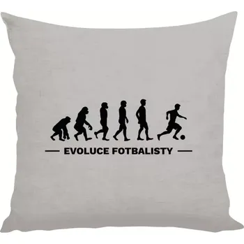 Polštář Polštář lněný 40x40 cm Evoluce - fotbalista