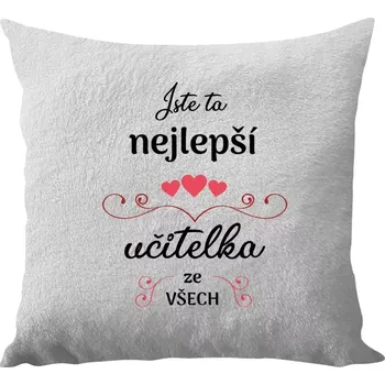 Polštář Polštář bílý 40x40 cm - dlouhý chlup Jste ta nejlepší učitelka ze všech