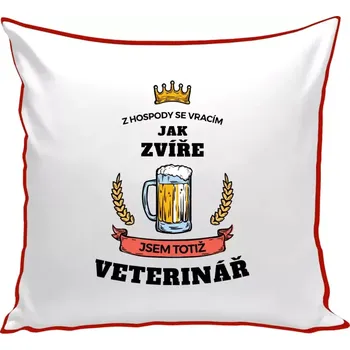Polštář Polštář barevný 32x32 cm Z hospody se vracím - Veterinář