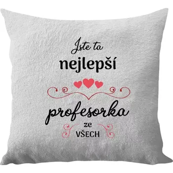 Polštář Polštář bílý 40x40 cm - dlouhý chlup Jste ta nejlepší profesorka ze všech