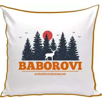 Polštář Polštář barevný 32x32 cm Na společných cestách