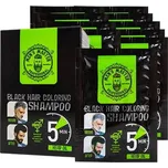 Mens Master Professional barvící šampon černá barva na vlasy 10 x 25 ml