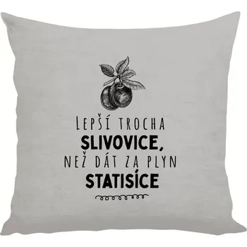 Polštář Polštář lněný 40x40 cm Lepší trocha slivovice