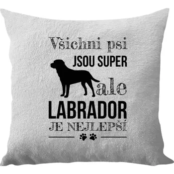 Polštář Polštář bílý 40x40 cm - dlouhý chlup Labrador je nejlepší