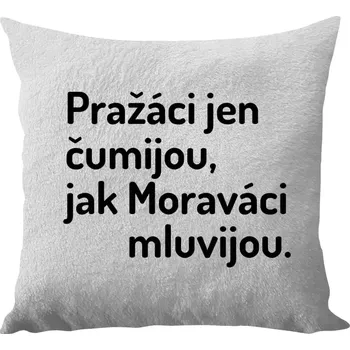 Polštář Polštář bílý 40x40 cm - dlouhý chlup Pražáci jen čumijou, jak Moraváci mluvijou.