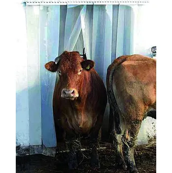 Stavební fólie Protiprůvanová PVC fólie závěsná šíře 200 mm - celé balení 50 m