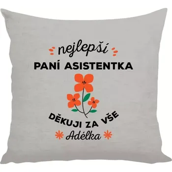 Polštář Polštář lněný 40x40 cm Nejlepší paní asistentka