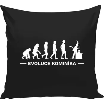 Polštář Polštář černý 40x40 cm Evoluce - kominík