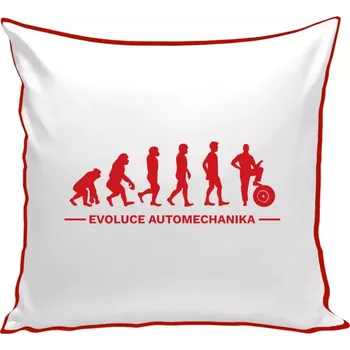 Polštář Polštář barevný 32x32 cm Evoluce - automechanik