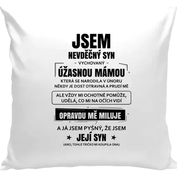 Polštář Polštář bílý 40x40 cm Mámin nevděčný syn