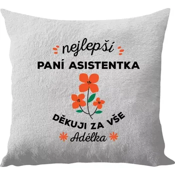 Polštář Polštář bílý 40x40 cm - dlouhý chlup Nejlepší paní asistentka