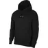 Pánská mikina NIKE SB Graphic Skate Hoodie DA4264-010