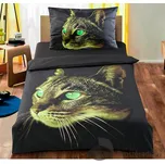 APEX Kočka zelenoočka 3D 140 x 200, 70…