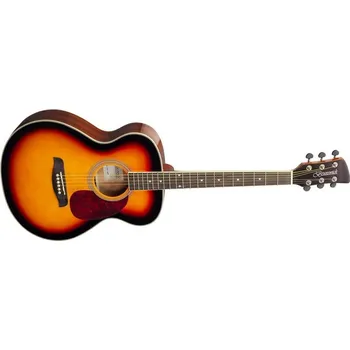 Kytara Brunswick GA BF200SB