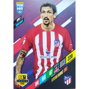 Sběratelská karetní hra Stefan Savič