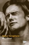 Malý život - Hanya Yanagihara (2022)…