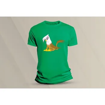 Chlapecké tričko Dětské bavlněné tričko Pokémon Gilda. velikost 140 Zelená