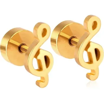 Náušnice Stylové elegantní náušnice z chirurgické oceli - Hudební nota