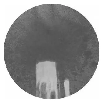 Zahraniční hudba LP Tashi Dorji: Blue Twelve CLR 2015 Clear Coloured Vinyl Lim.collector's Edition