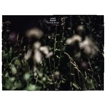 Zahraniční hudba CD Anneli Drecker: Rocks & Straws 2020