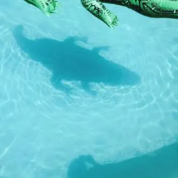 Zahraniční hudba CD Shopping: The Official Body 2018