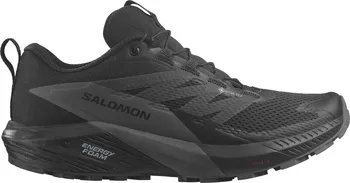 Dámská běžecká obuv Salomon Sense Ride 5 GTX L47147600