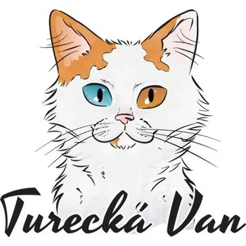 Samolepicí dekorace na vozidlo Samolepka na auto TURECKÁ VAN