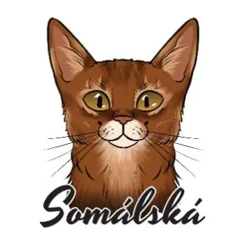 Samolepicí dekorace na vozidlo Samolepka na auto SOMÁLSKÁ