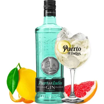 Gin Puerto de Indias Gin Classic 40% 0,7l