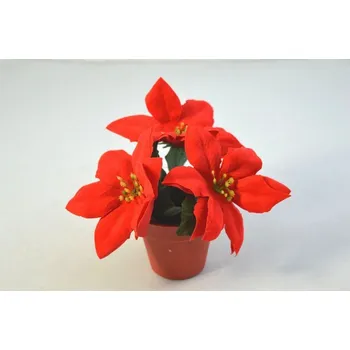 Vánoce Vánoční hvězda v obalu 3 květy