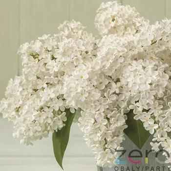 Papírový kapesník Ubrousky Maki 7320504 šeřík