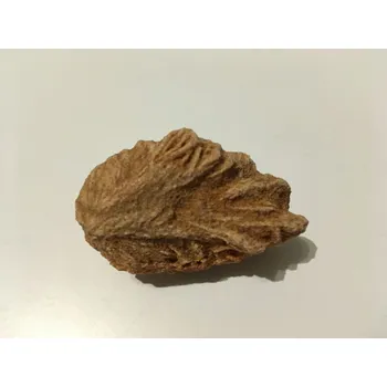 Přírodní kámen Pouštní růže 48 gramů jedinečný kus