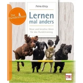 Lernen - mal anders - Krivy, Petra