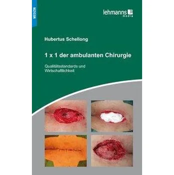 1x1 der ambulanten Chirurgie - Schellong, Hubertus