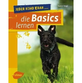 Jeder Hund kann die Basics lernen - Voigt, Katrin