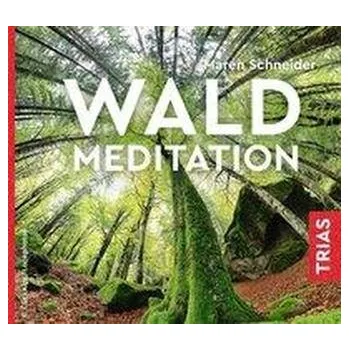 Waldmeditation - Schneider, Maren