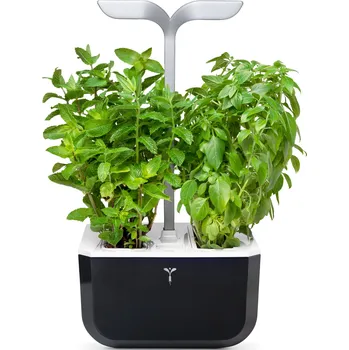 Sazenice Veritable, Malý květináč Veritable Exky Smart soft black - Formadore