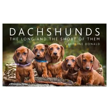 Dachshunds - Donald, Caroline