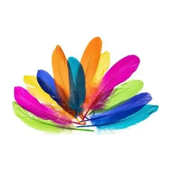 Set školních potřeb Piórka gęsie nenowy 15-20cm