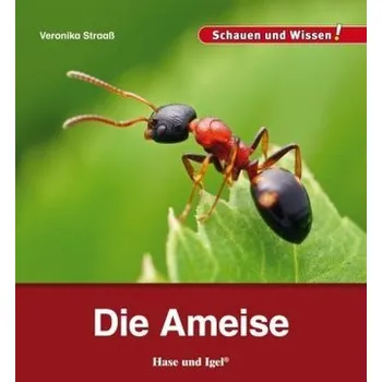 Německý jazyk Die Ameise - Veronika Straaß