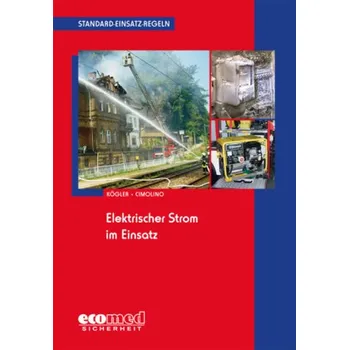 Elektrischer Strom im Einsatz - Kögler, Hanswerner