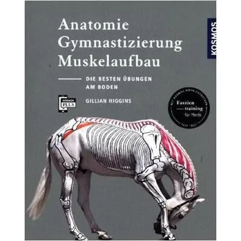 Anatomie, Gymnastizierung, Muskelaufbau - Higgins, Gillian