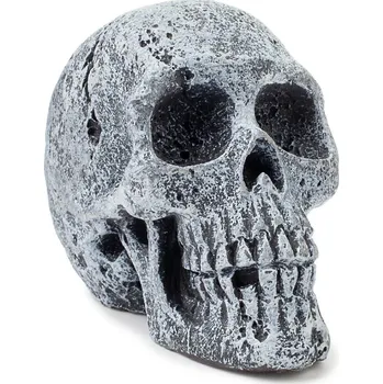 Dekorace do akvária Happet Lidská lebka - Dekorace do akvária