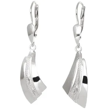 Náušnice Dámské stříbrné visací naušnice STNAU1743F