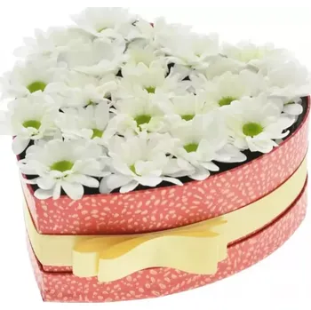 Dárková krabička Krabička květin ANAMARI červená 19x9cm