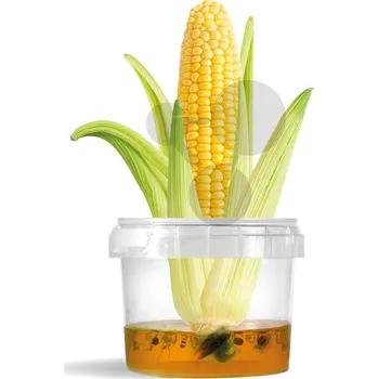 Ekosystém - Užitkové rostliny