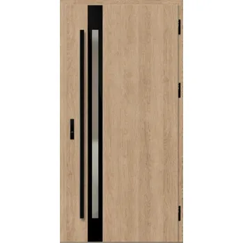 Vchodové dveře ERKADO Vchodové dveře ERKADO Horn 1