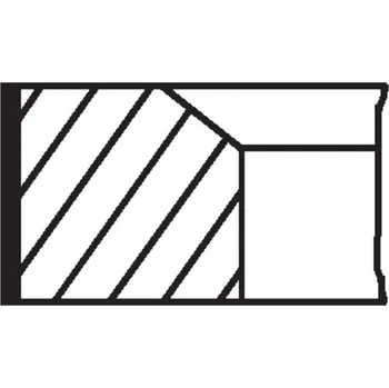 Motor automobilu Sada pístních kroužků MAHLE 001 36 N4