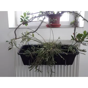 Držák na květináč a truhlík Dops Držák na truhlík 2 ks pozink