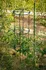 Opora na rostlinu Plastia Opora pro pěstování z černého recyklátu 38 x 132,5 cm